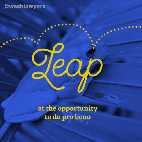 Leap Day Pro Bono Pun - Leap At The Opportunity