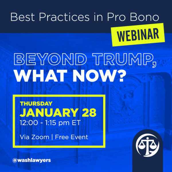 Graphic: Best Practices in Pro Bono: Beyond Trump, What Now?