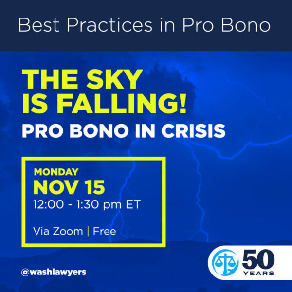 Graphic: Best Practices in Pro Bono: The Sky is Falling! Pro Bono in Crisis