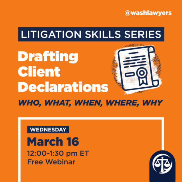 Graphic: Litigation Skills Series Drafting Client Declarations