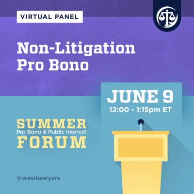 Graphic: 2022 Summer Forum Non-Litigation Pro Bono Panel
