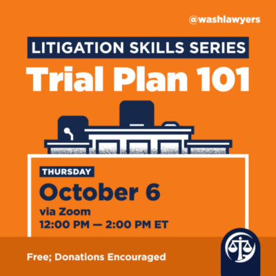 Graphic: Litigation Skills Trial Plan 101