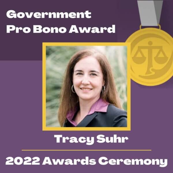 Graphic: Government Pro Bono Award