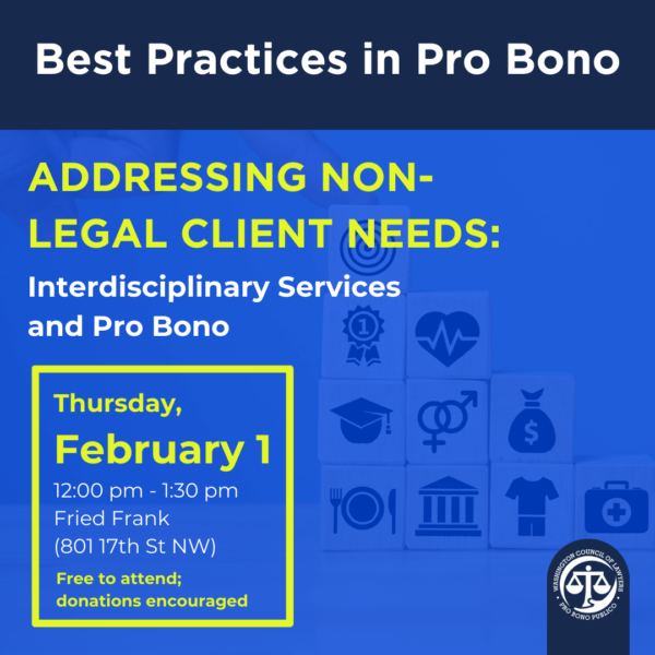 Graphic: Best Practices in Pro Bono Addressing Non-Legal Client Needs